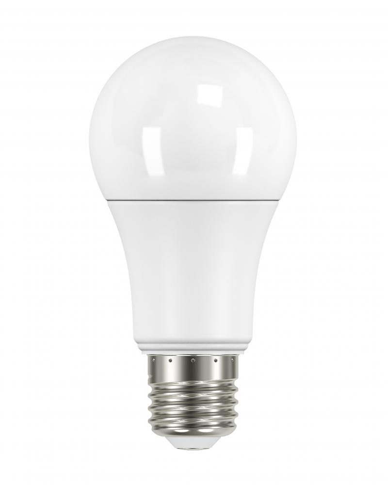 1r (3).jpg