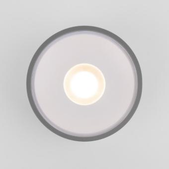 Потолочный светильник Light 35141/H 12W 4000K серый Elektrostandard