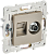 Розетка TV антенна + RJ45 кат.5E С/У Шампань Skandy
