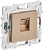 Розетка RJ45 кат.5Е С/У Песочный Skandy
