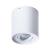 Накладной светильник A5645PL-1WH Arte Lamp