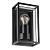 Настенный светильник Marfik A2322AL-1BK Arte Lamp